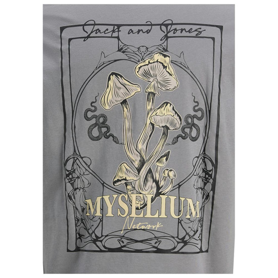 Jack & Jones Ανδρική κοντομάνικη μπλούζα Jack & Jones Ανδρική κοντομάνικη μπλούζα